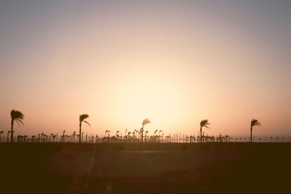 Sfeerbeeld bij dit voorbeeldtribute. Wordt vervangen zodra hier een echte tribute komt.