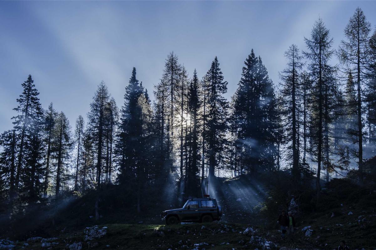 Sfeerbeeld bij dit voorbeeldtribute. Wordt vervangen zodra hier een echte tribute komt.