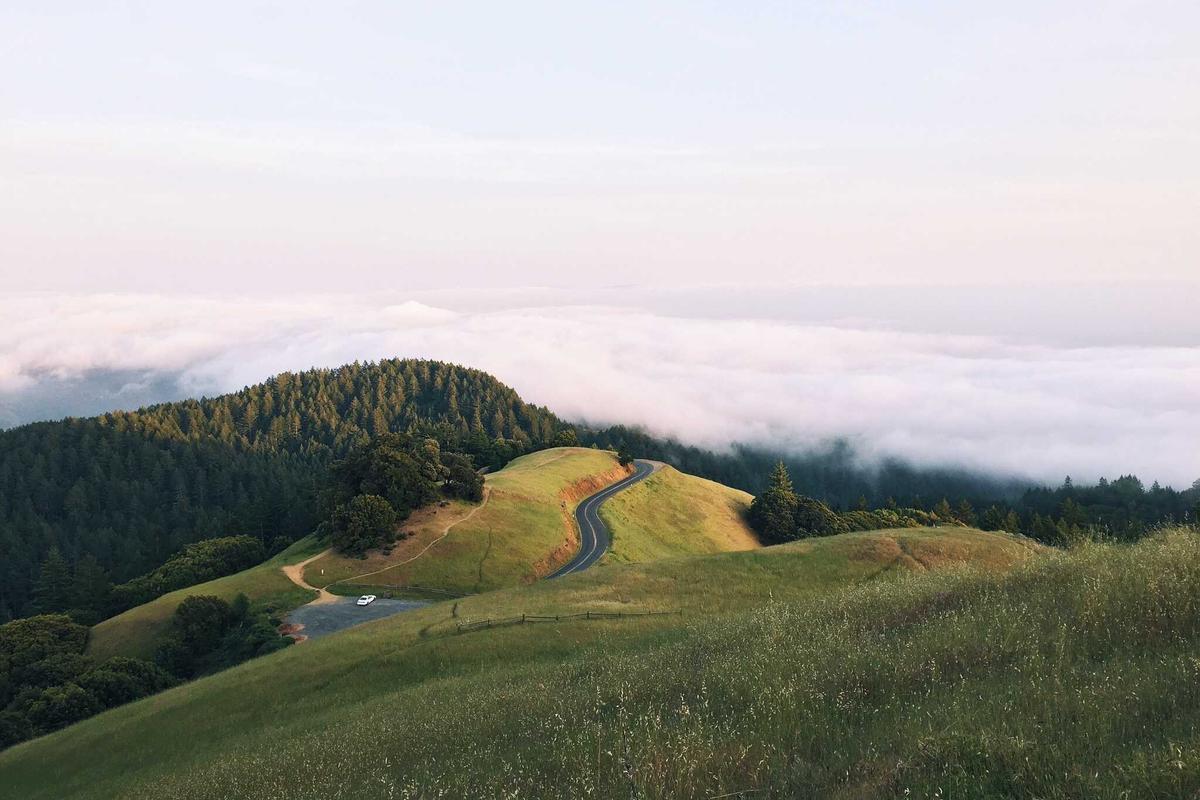 Sfeerbeeld bij dit voorbeeldtribute. Wordt vervangen zodra hier een echte tribute komt.