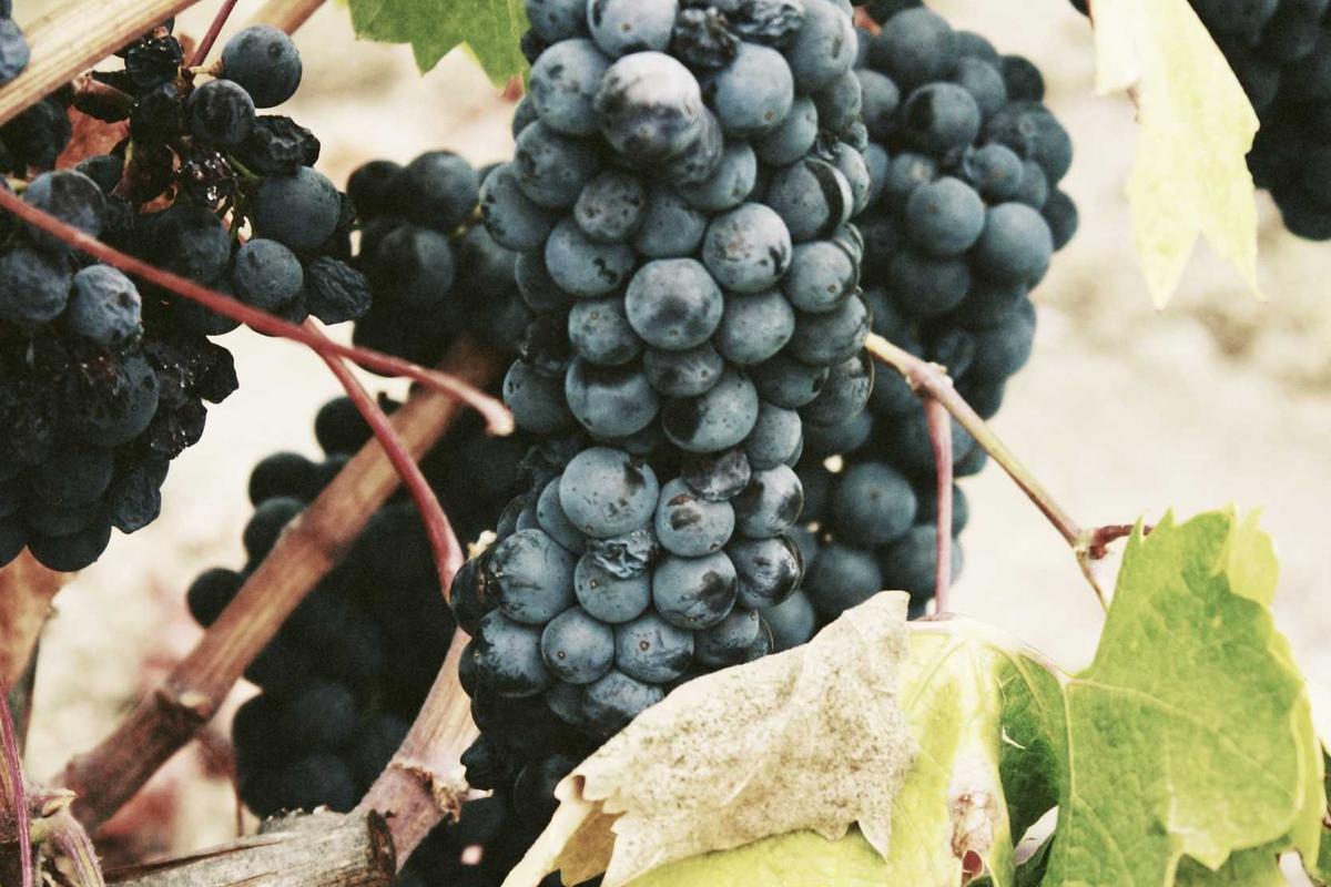 Een dierbare herinnering bij dit voorbeeld.